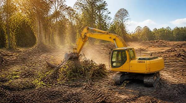 Arundel Tree Service Lot Clearing Makes Room for Maryland Home Construction